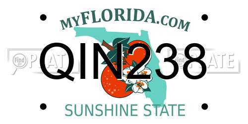 QIN238 Florida License Plate