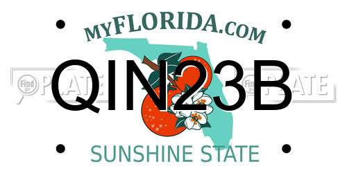 QIN23B Florida License Plate