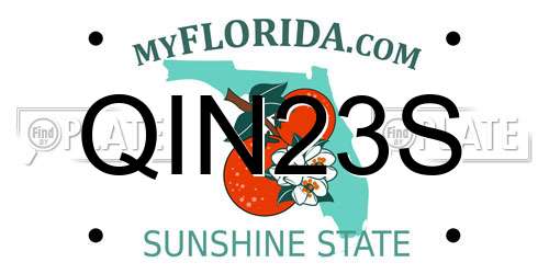 QIN23S Florida License Plate