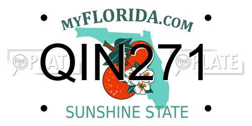 QIN271 Florida License Plate