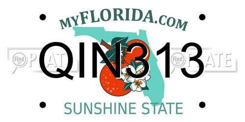 QIN313 Florida License Plate