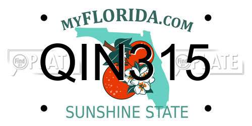 QIN315 Florida License Plate