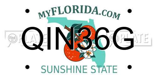 QIN36G Florida License Plate
