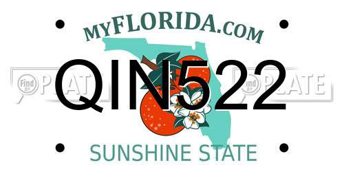 QIN522 Florida License Plate