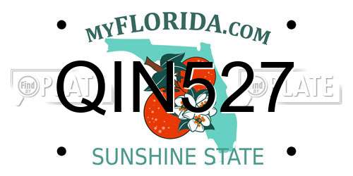 QIN527 Florida License Plate