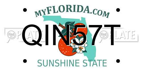 QIN57T Florida License Plate