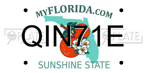 QIN71E Florida License Plate