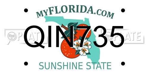 QIN735 Florida License Plate