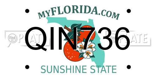 QIN736 Florida License Plate