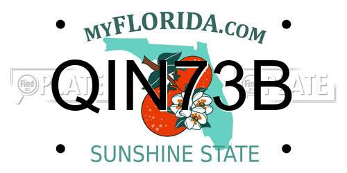 QIN73B Florida License Plate