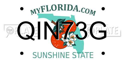 QIN73G Florida License Plate