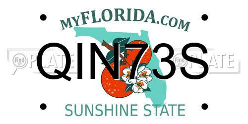QIN73S Florida License Plate