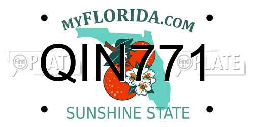 QIN771 Florida License Plate