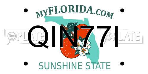 QIN77I Florida License Plate