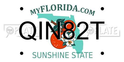 QIN82T Florida License Plate