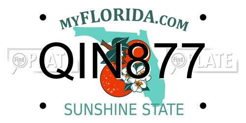 QIN877 Florida License Plate