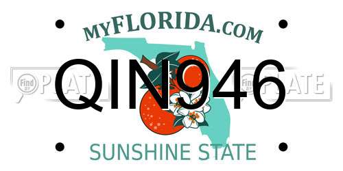 QIN946 Florida License Plate
