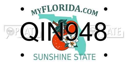 QIN948 Florida License Plate