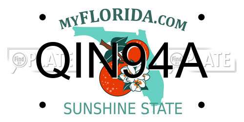 QIN94A Florida License Plate