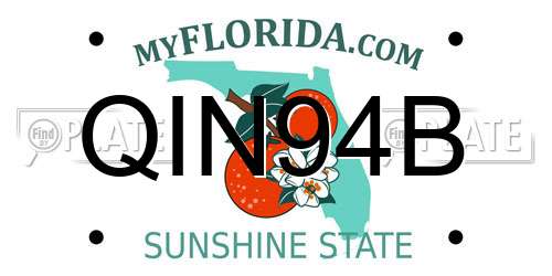 QIN94B Florida License Plate