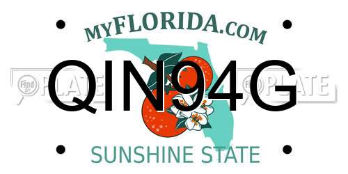 QIN94G Florida License Plate