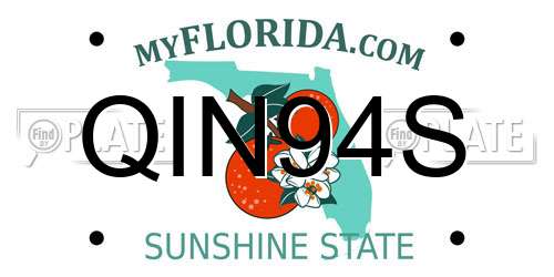 QIN94S Florida License Plate