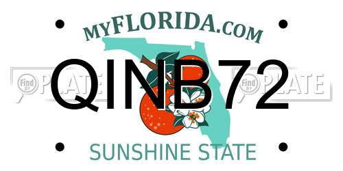 QINB72 Florida License Plate