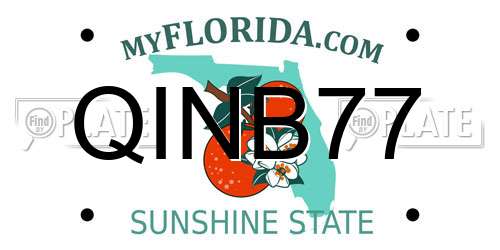 QINB77 Florida License Plate
