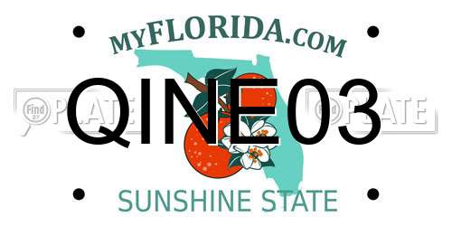 QINE03 Florida License Plate