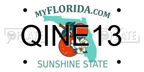 QINE13 Florida License Plate