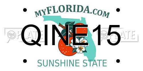 QINE15 Florida License Plate