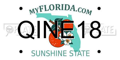QINE18 Florida License Plate