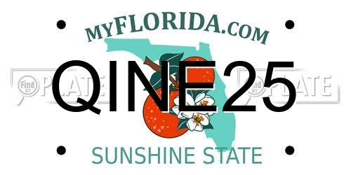 QINE25 Florida License Plate