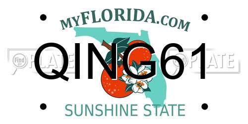 QING61 Florida License Plate