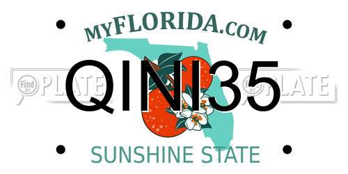 QINI35 Florida License Plate