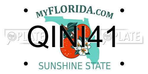 QINI41 Florida License Plate