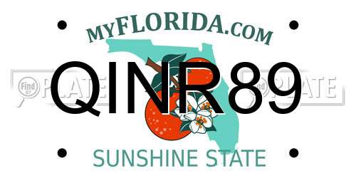 QINR89 Florida License Plate