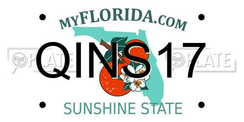 QINS17 Florida License Plate