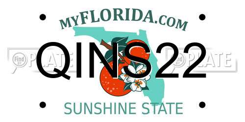 QINS22 Florida License Plate