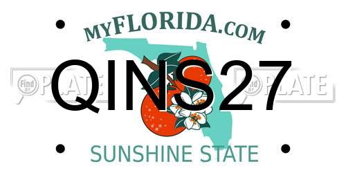 QINS27 Florida License Plate