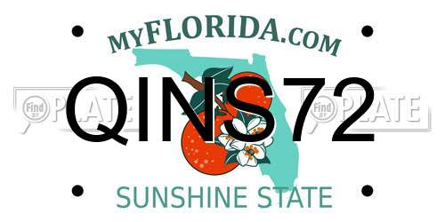QINS72 Florida License Plate