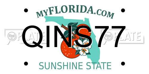 QINS77 Florida License Plate
