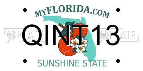 QINT13 Florida License Plate