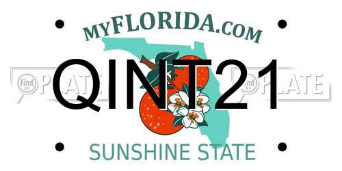 QINT21 Florida License Plate