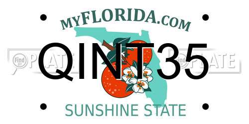 QINT35 Florida License Plate