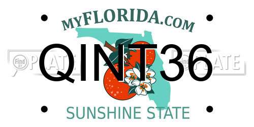 QINT36 Florida License Plate