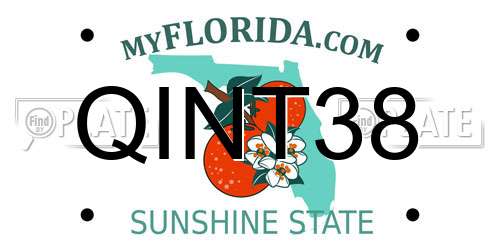 QINT38 Florida License Plate