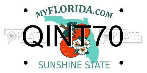 QINT70 Florida License Plate