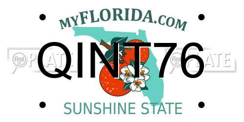 QINT76 Florida License Plate