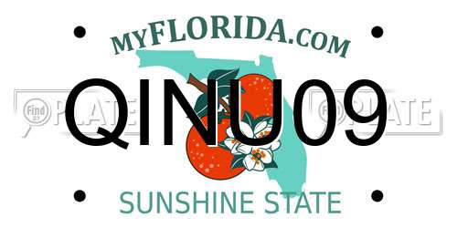 QINU09 Florida License Plate